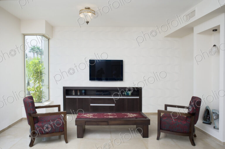 Modern Living Room