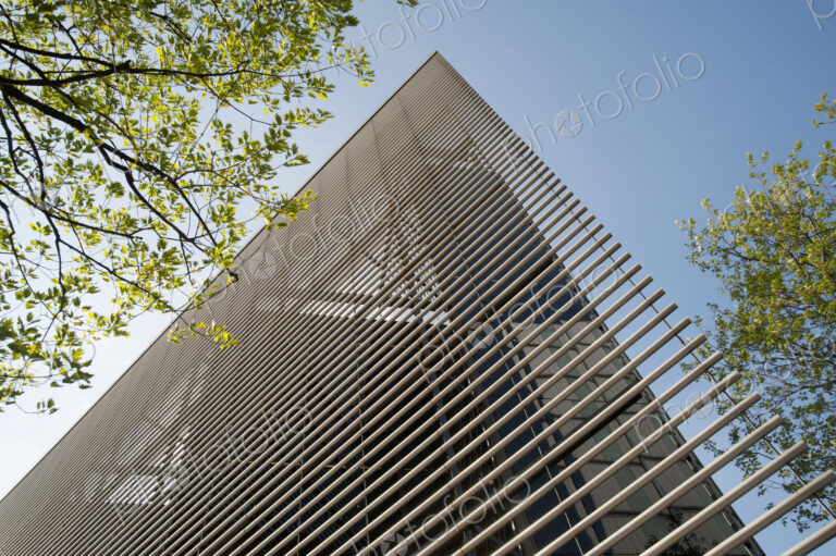Modern Office Building