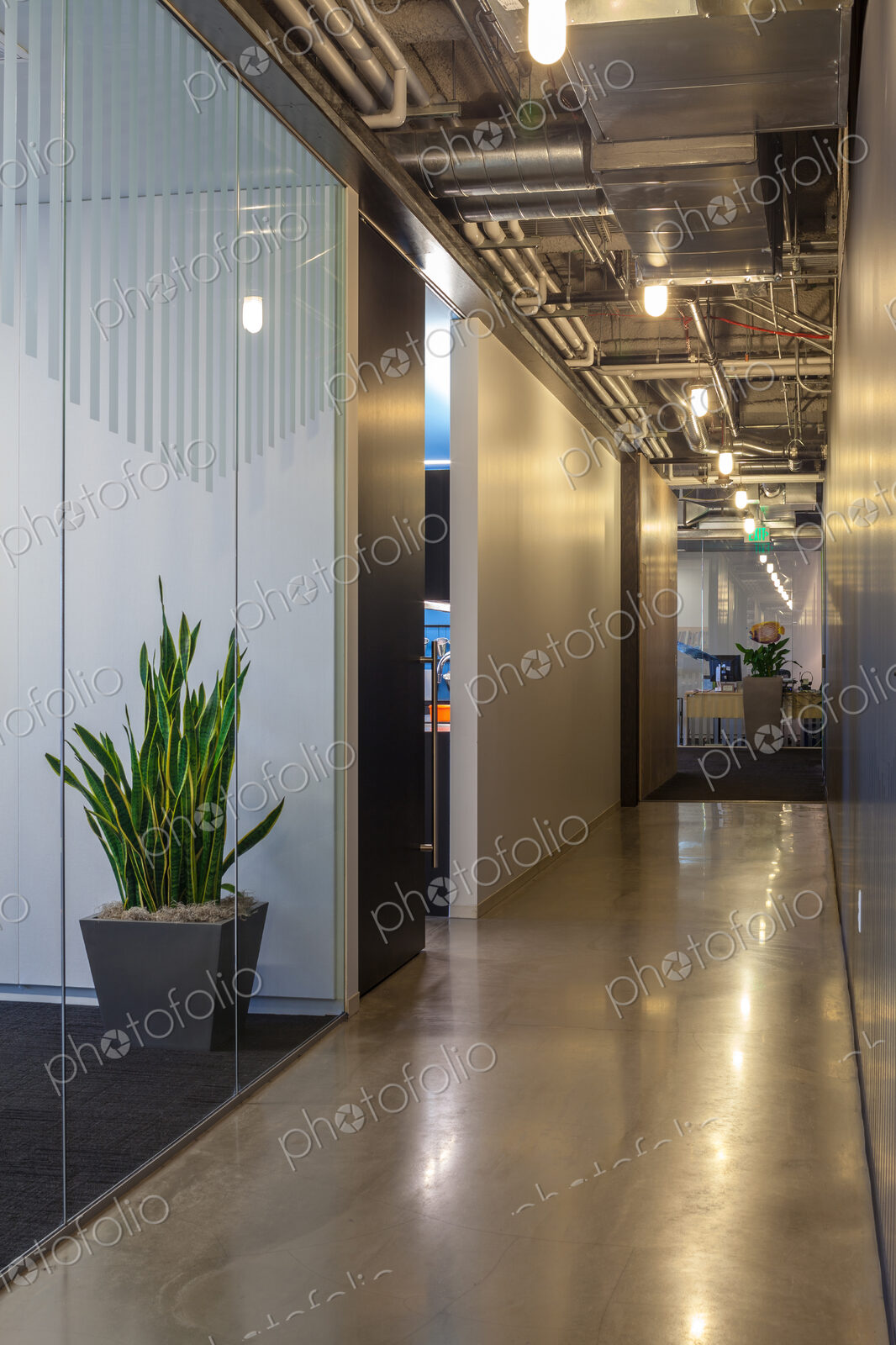 Modern architecture in office hallway