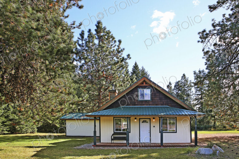 Modern cabin in rural forest