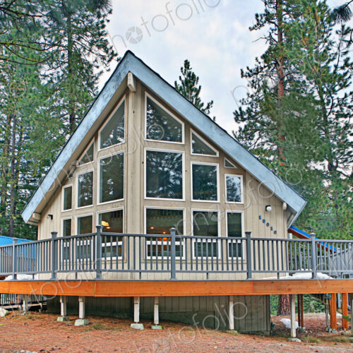 Modern cabin in rural forest