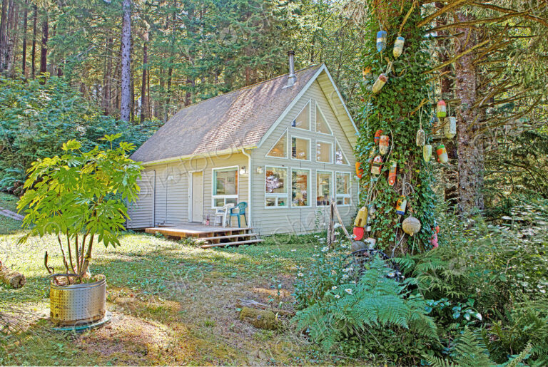 Modern house in remote forest