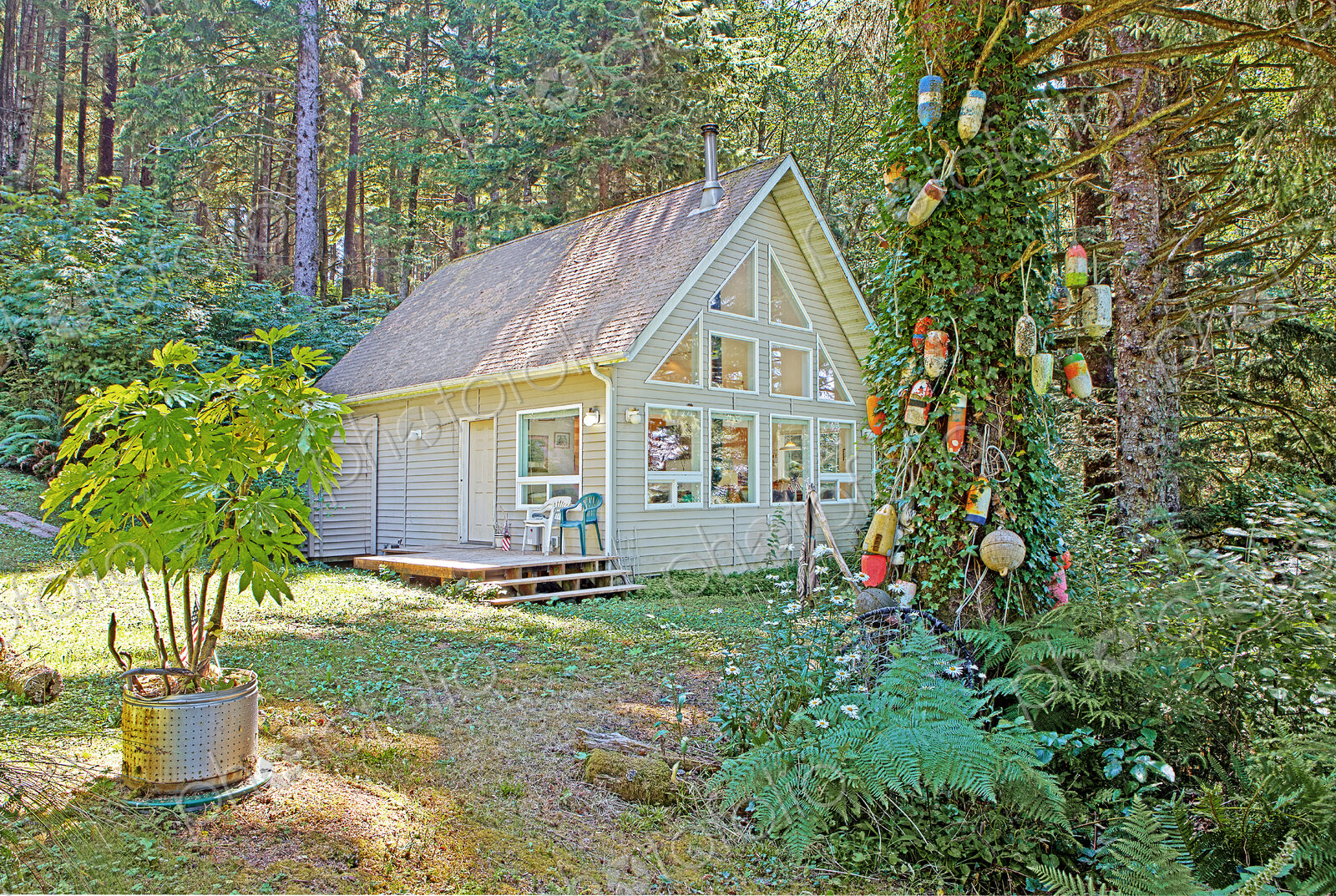 Modern house in remote forest