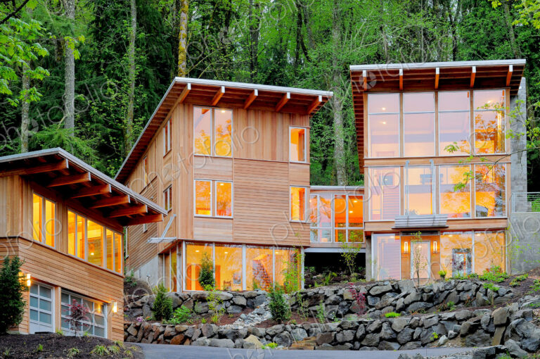 Modern house in woods