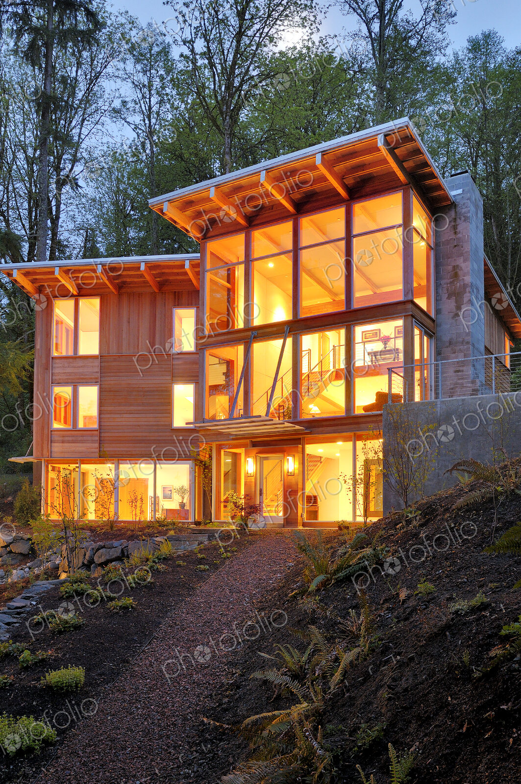 Modern house in woods