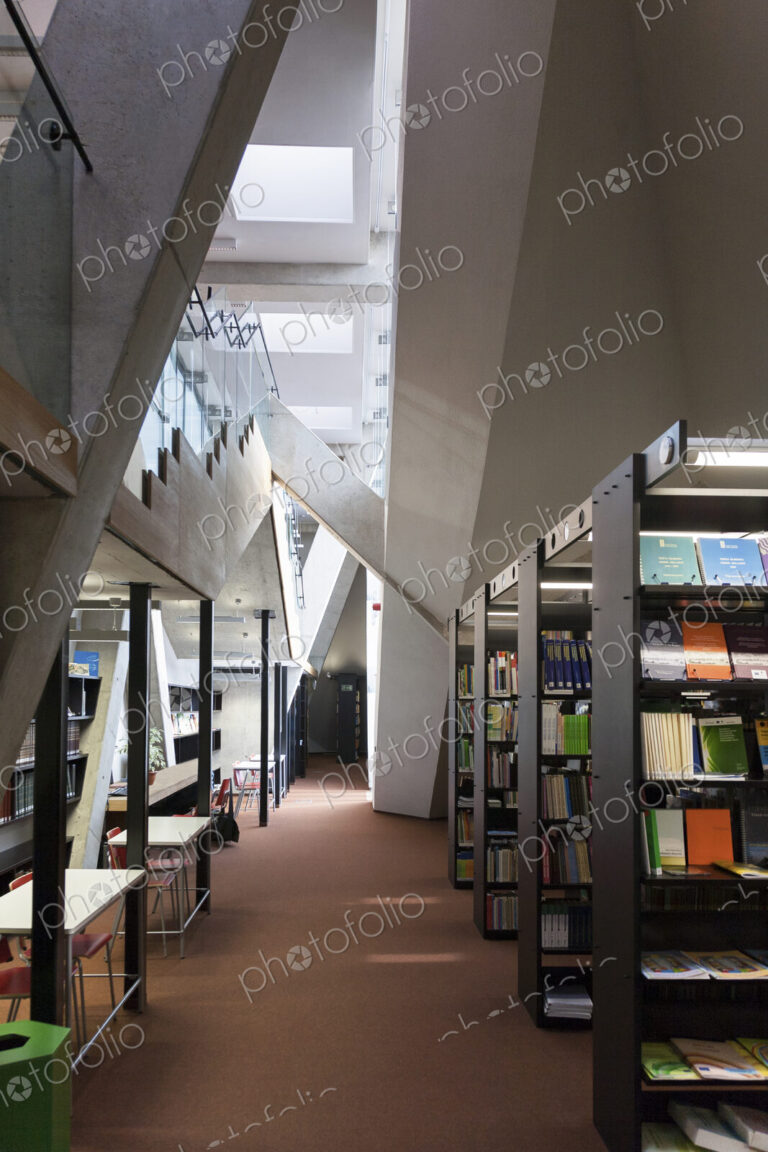 Modern library in a new university building.