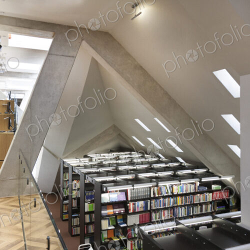Modern library in a new university building. Modern library in a new university building.