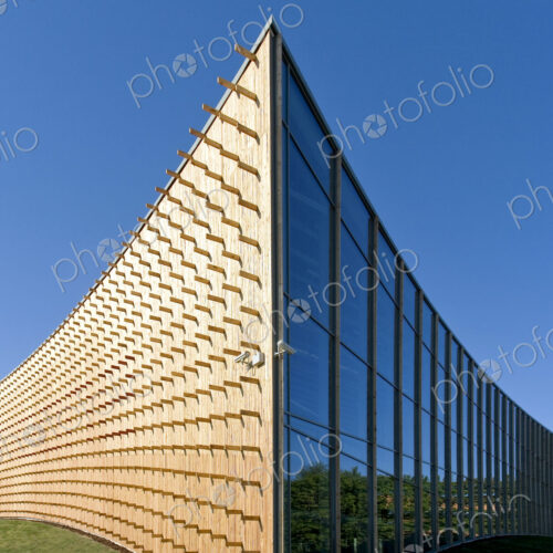 Modern university buildings, curved wooden walls and glass. Modern university buildings, curved wooden walls and glass.