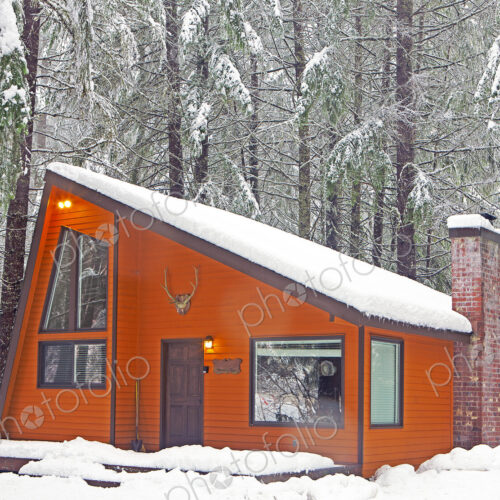 Modern wood cabin in snowy forest
