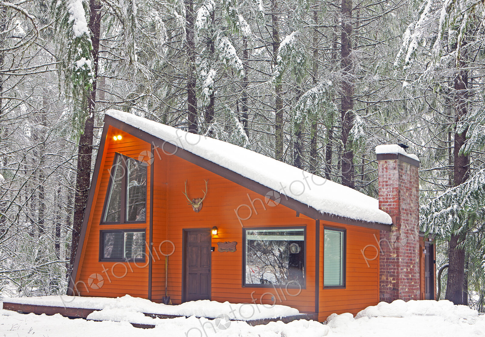 Modern wood cabin in snowy forest