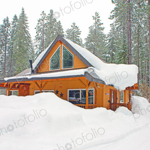 Modern wood cabin in snowy forest