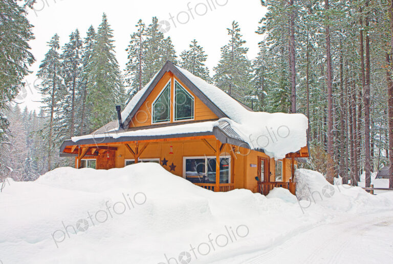 Modern wood cabin in snowy forest