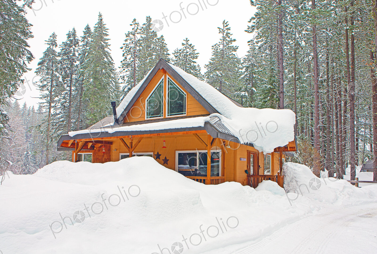 Modern wood cabin in snowy forest