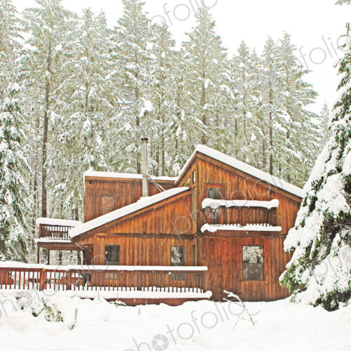 Modern wood cabin in snowy forest Modern wood cabin in snowy forest