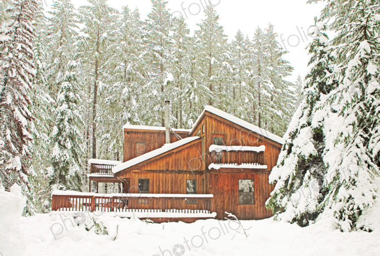 Modern wood cabin in snowy forest