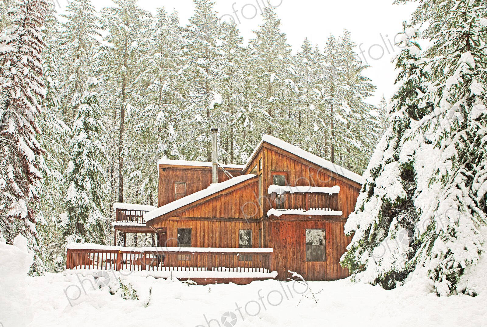 Modern wood cabin in snowy forest