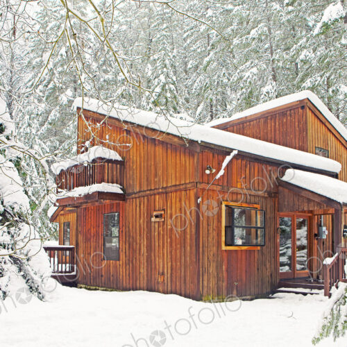 Modern wood cabin in snowy forest