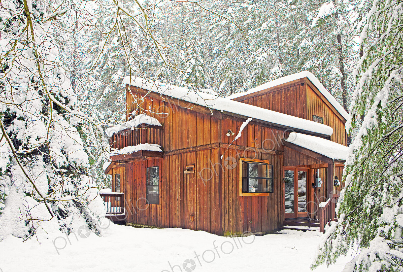 Modern wood cabin in snowy forest