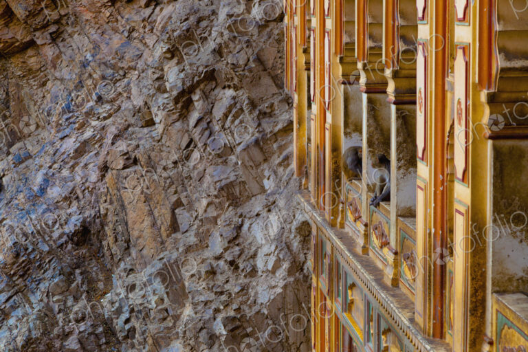 Monkeys in a Temple