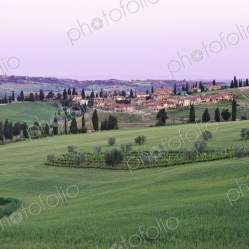 Montecchiello at Dawn