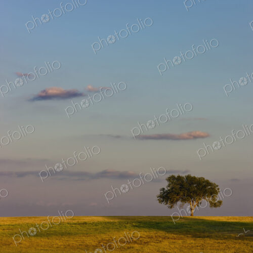 Moon over rolling rural farmland Moon over rolling rural farmland