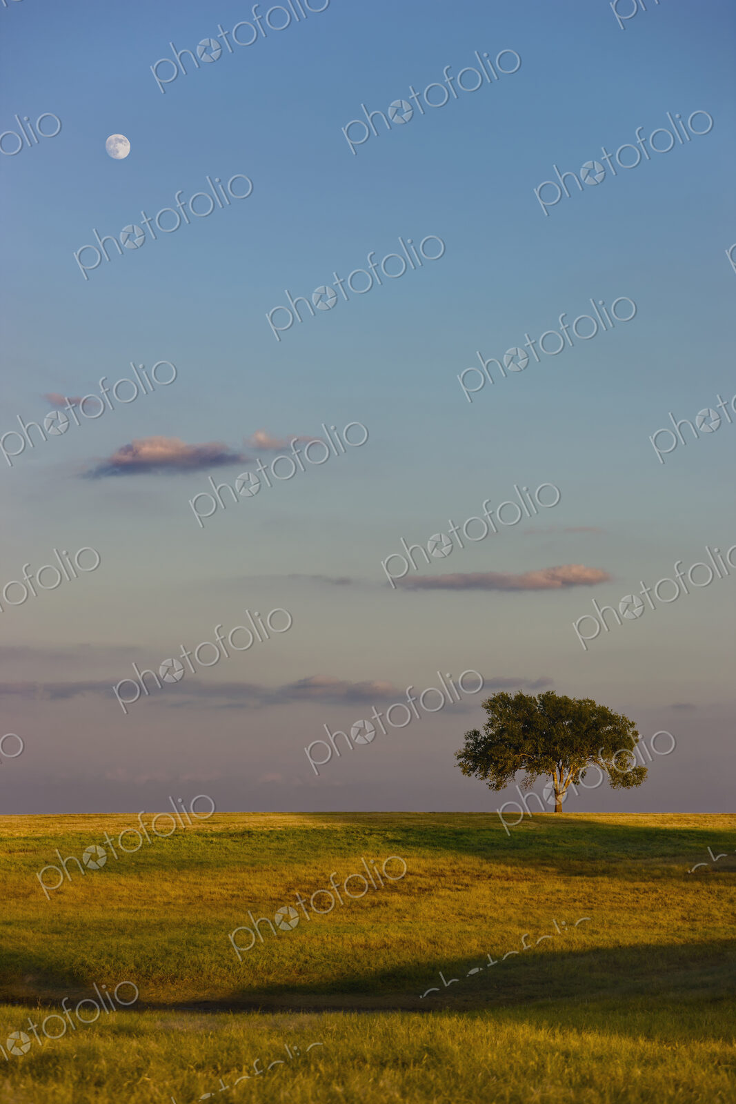 Moon over rolling rural farmland