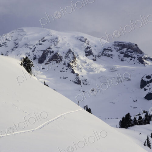 Morning light on snow covered Mt. Rainier, viewed from the Paradise area on the south… Morning light on snow covered Mt. Rainier, viewed from the Paradise area on the south…