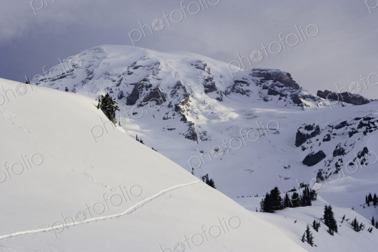 Morning light on snow covered Mt. Rainier, viewed from the Paradise area on the south…