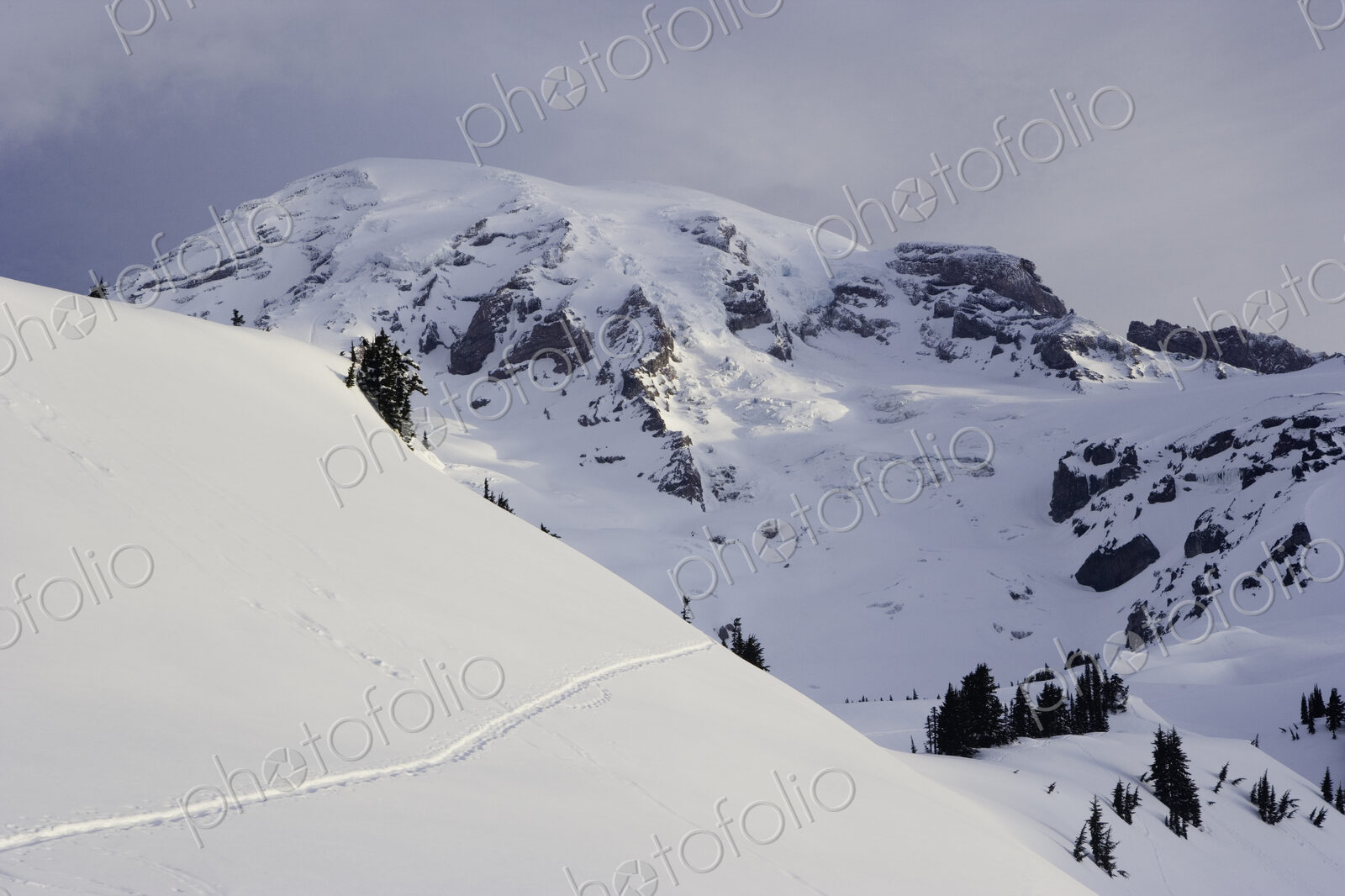 Morning light on snow covered Mt. Rainier, viewed from the Paradise area on the south…