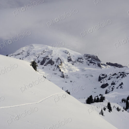 Morning light on snow covered Mt. Rainier, viewed from the Paradise area on the south… Morning light on snow covered Mt. Rainier, viewed from the Paradise area on the south…