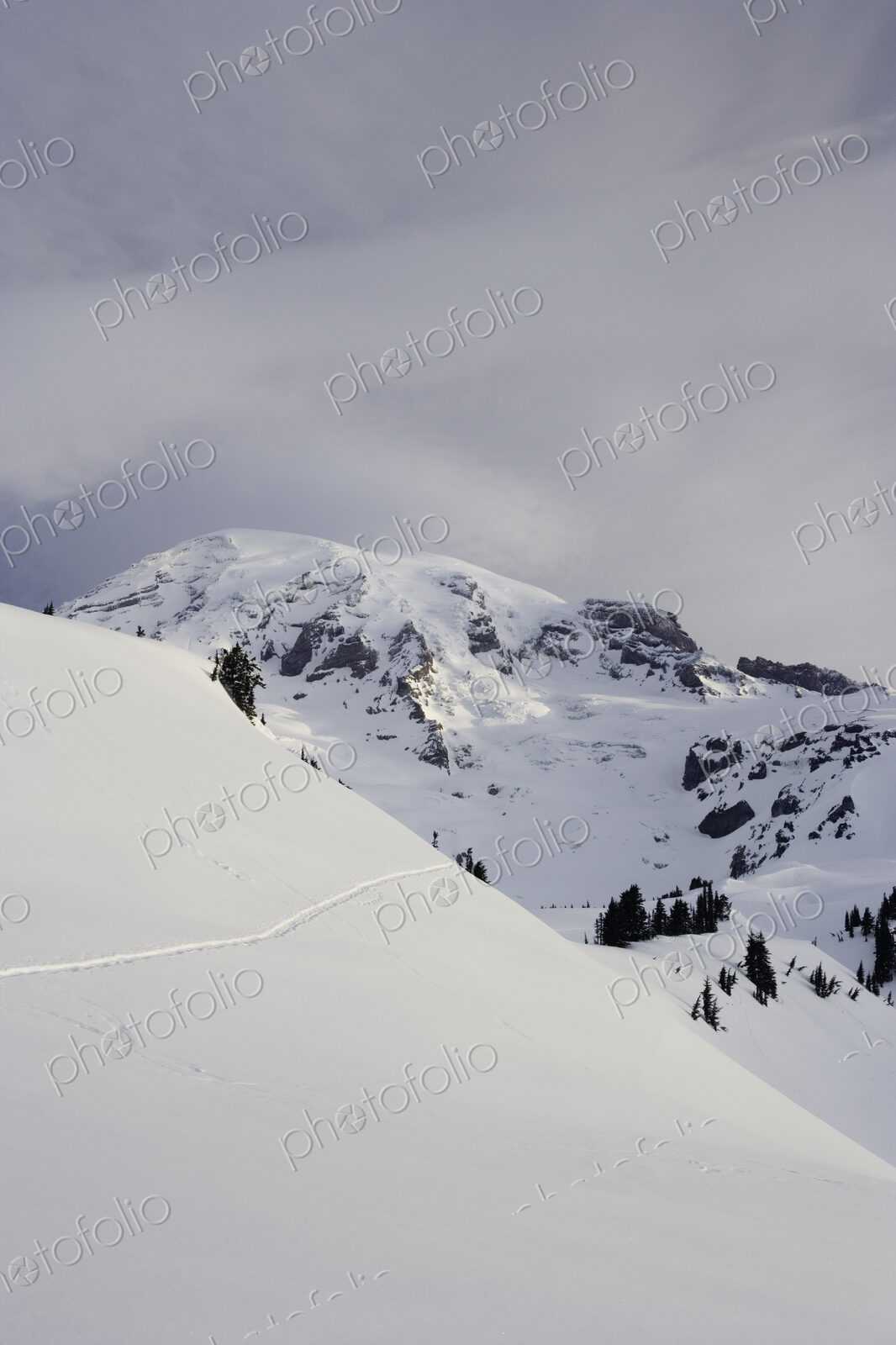 Morning light on snow covered Mt. Rainier, viewed from the Paradise area on the south…
