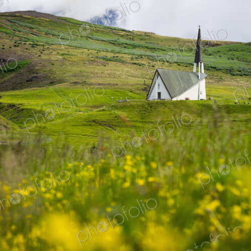Mosfellskirkja church in a rural landscape and flower meadows. Mosfellskirkja church in a rural landscape and flower meadows.