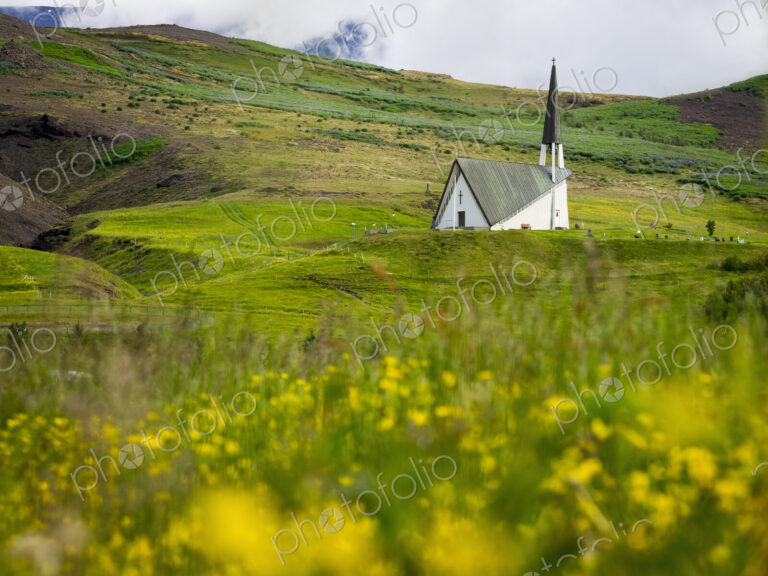 Mosfellskirkja church in a rural landscape and flower meadows.