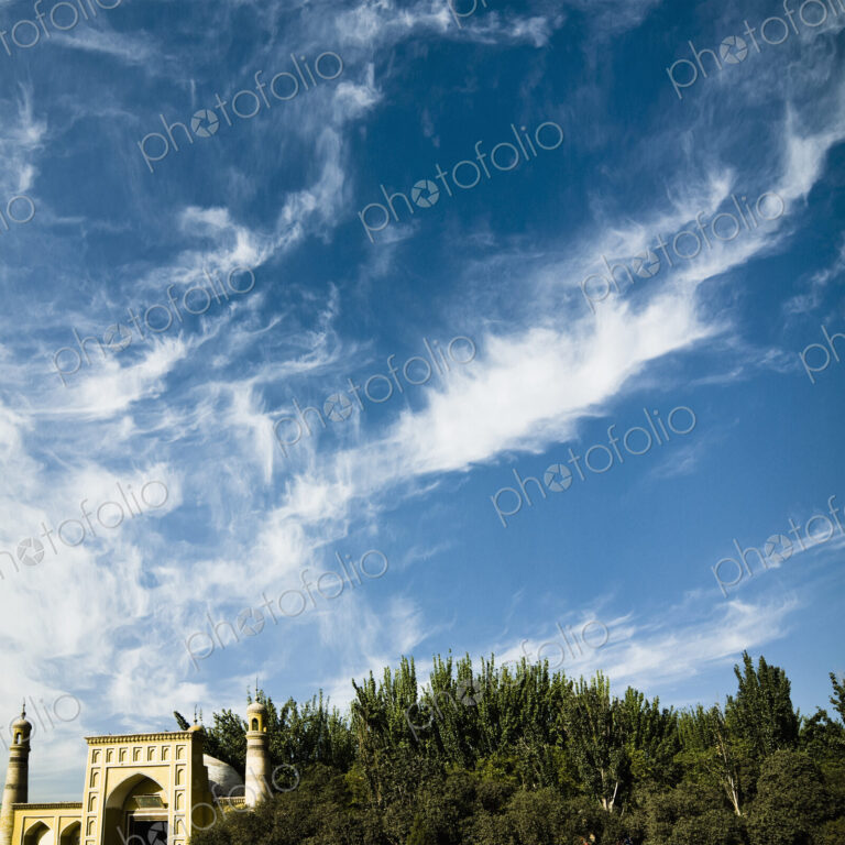 Mosque entrance and minaret with trees and sky.