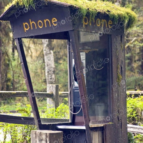 Moss Covered Phone Booth Moss Covered Phone Booth