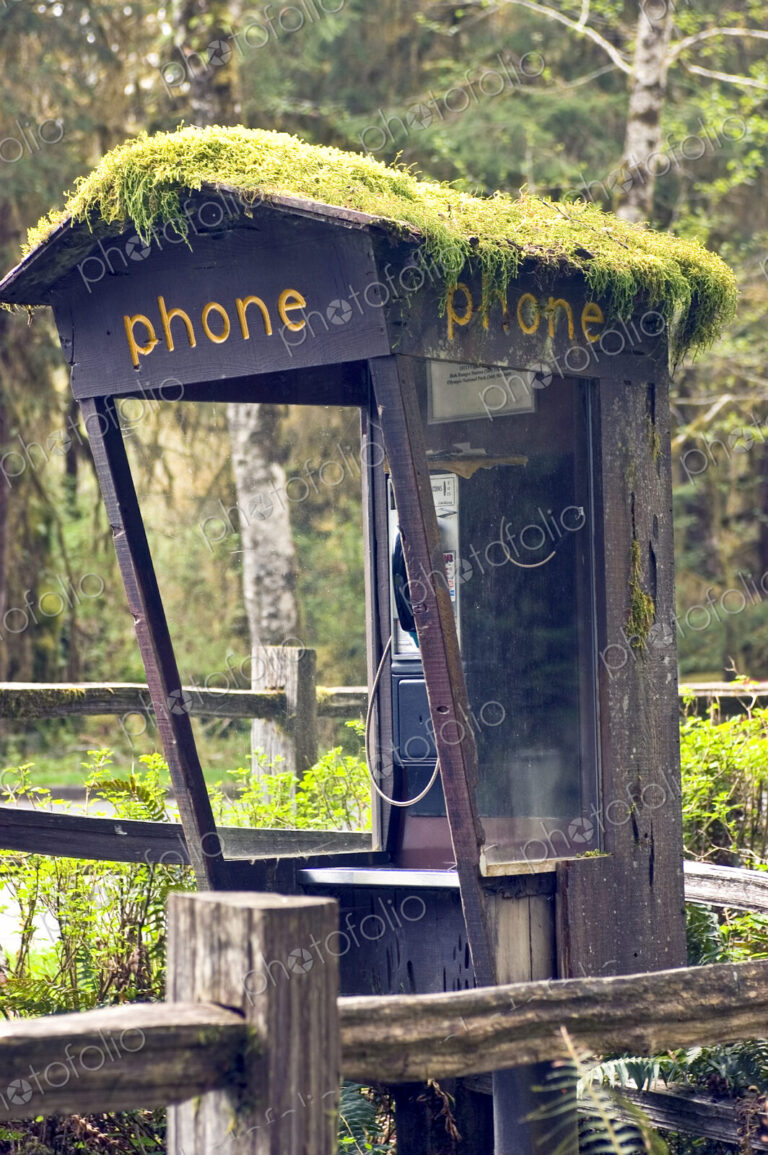 Moss Covered Phone Booth