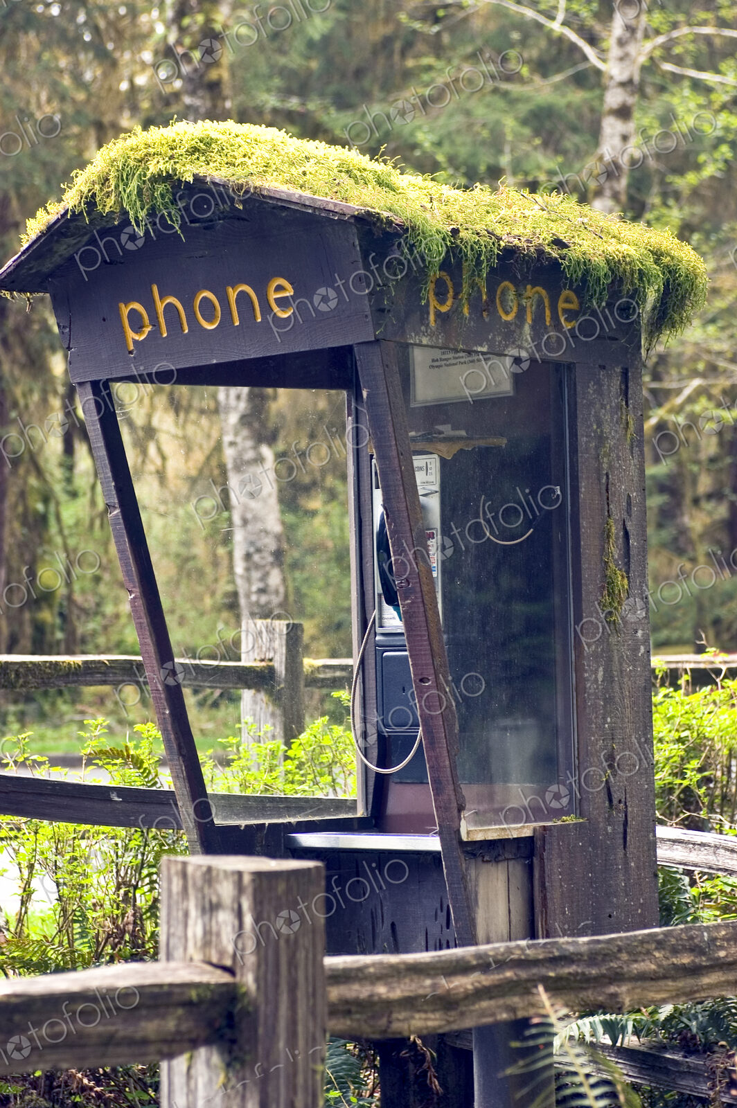 Moss Covered Phone Booth