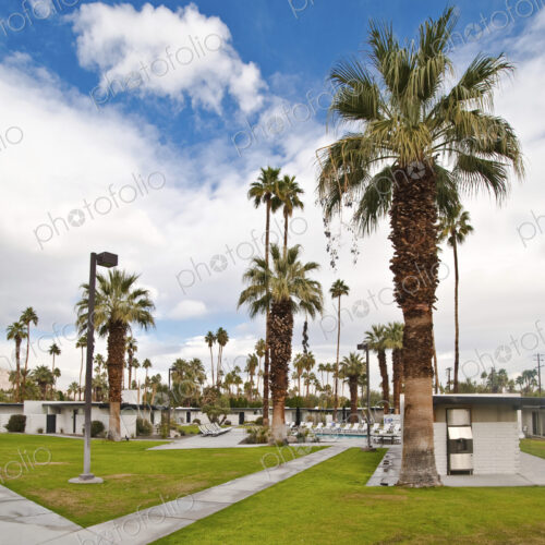 Motel and Palm Trees Motel and Palm Trees