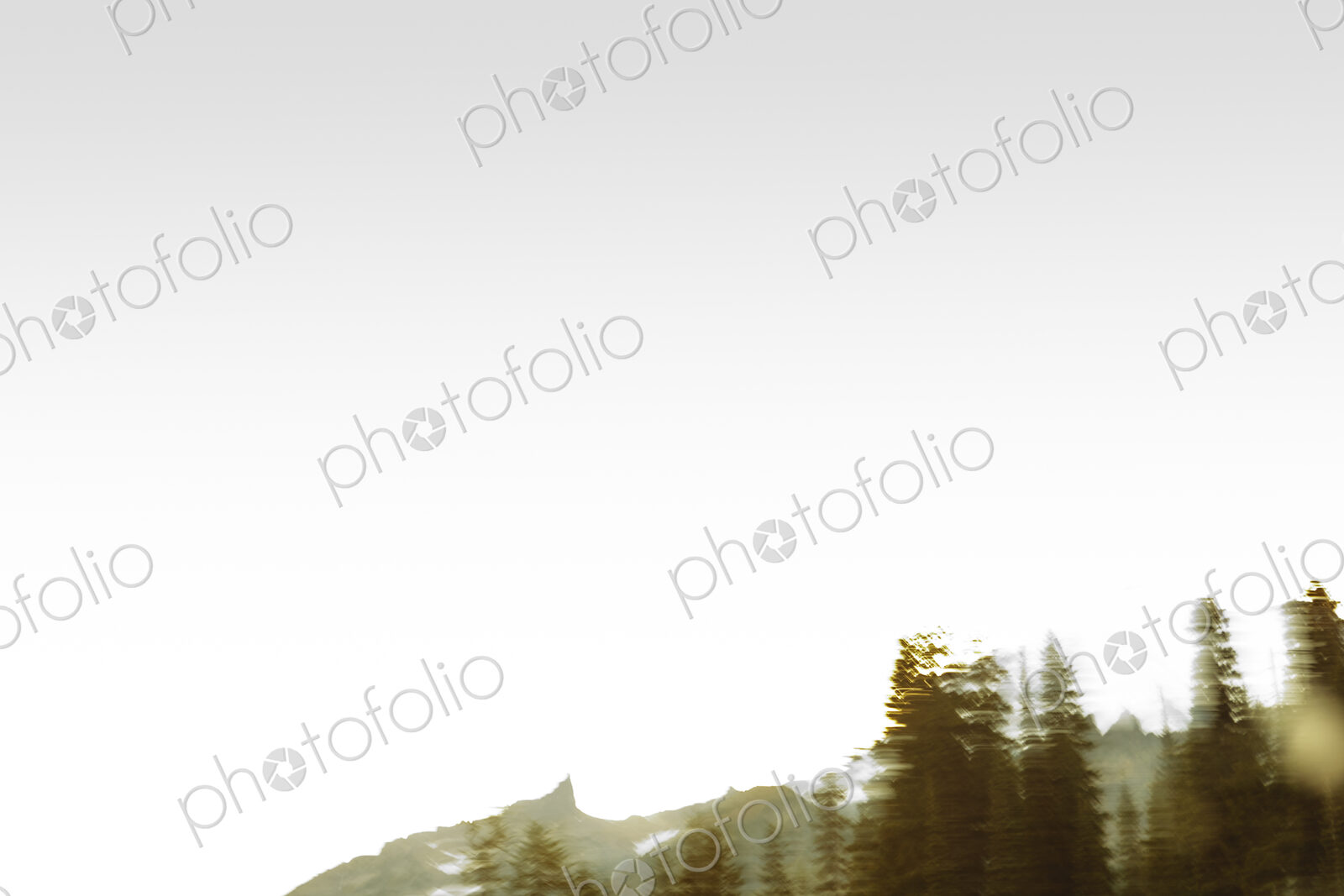 Motion blurred forest and mountain, Cascade Range, WA USA