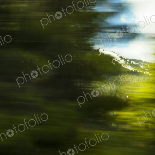 Motion blurred view of the woodland and wilderness in Mount Rainier National Park,… Motion blurred view of the woodland and wilderness in Mount Rainier National Park,…