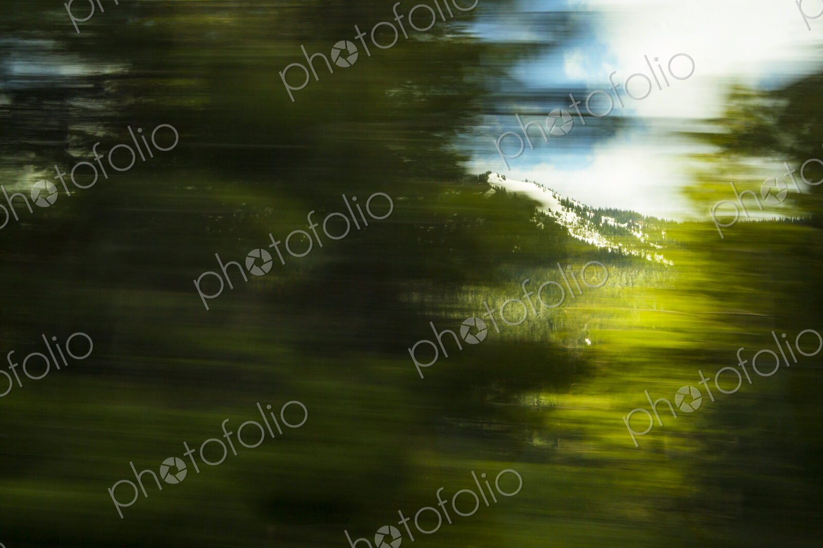 Motion blurred view of the woodland and wilderness in Mount Rainier National Park,…