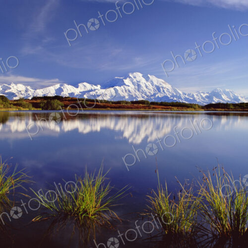 Mount McKinley in Denali National Park, Alaska reflected in Reflection Pond.