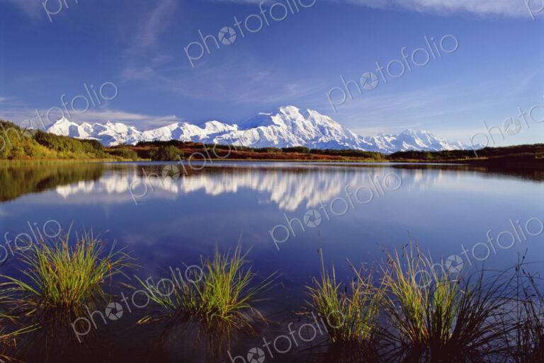 Mount McKinley in Denali National Park, Alaska reflected in Reflection Pond.