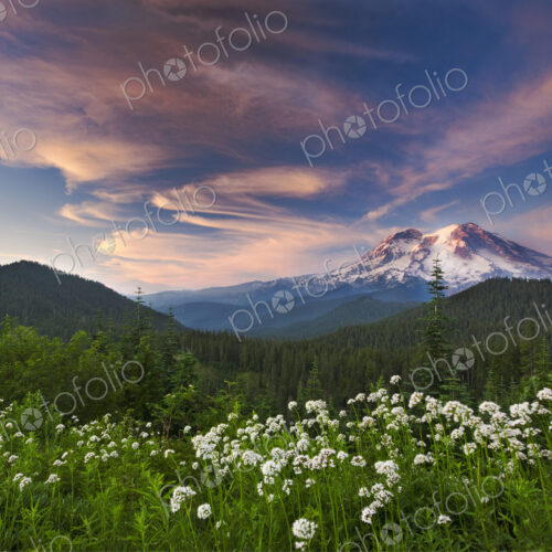Mount Rainier, a snow capped peak, surrounded by forest reflected in the lake surface… Mount Rainier, a snow capped peak, surrounded by forest reflected in the lake surface…