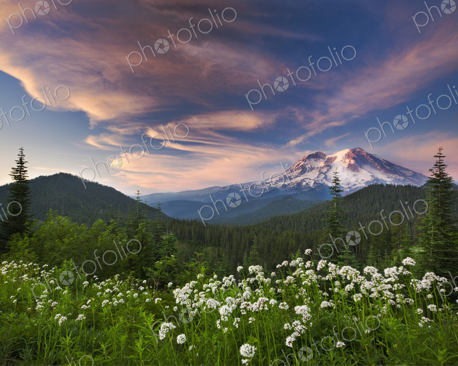 Mount Rainier, a snow capped peak, surrounded by forest reflected in the lake surface…