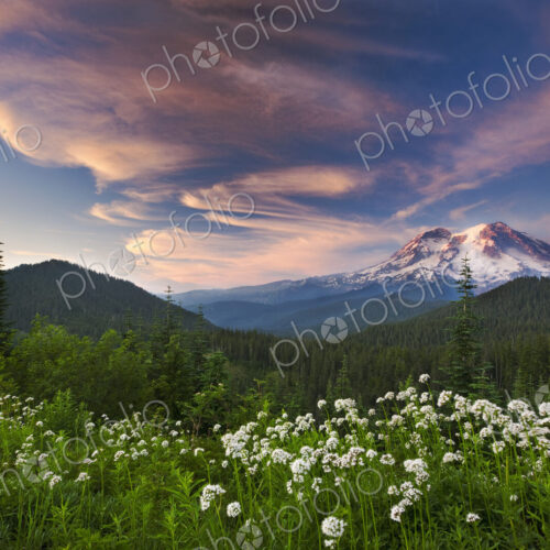 Mount Rainier, a snow capped peak, surrounded by forest reflected in the lake surface… Mount Rainier, a snow capped peak, surrounded by forest reflected in the lake surface…