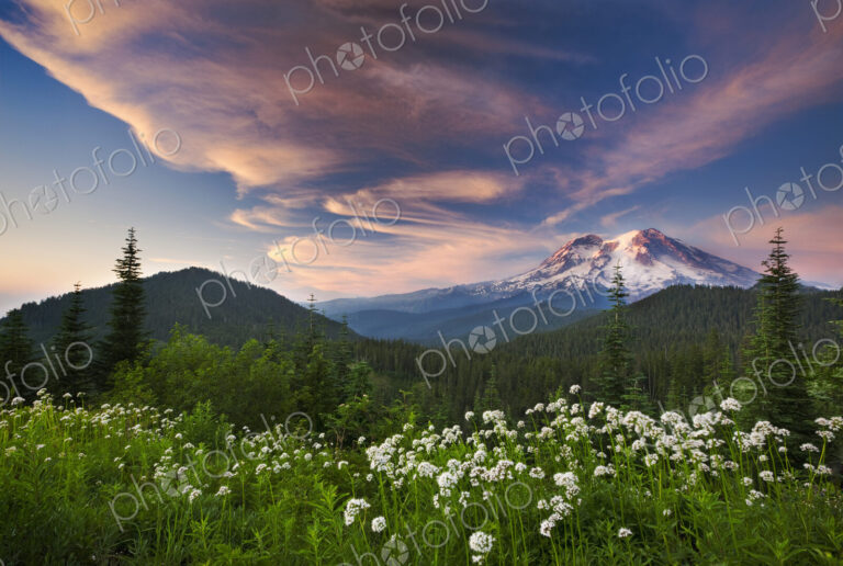 Mount Rainier, a snow capped peak, surrounded by forest reflected in the lake surface…