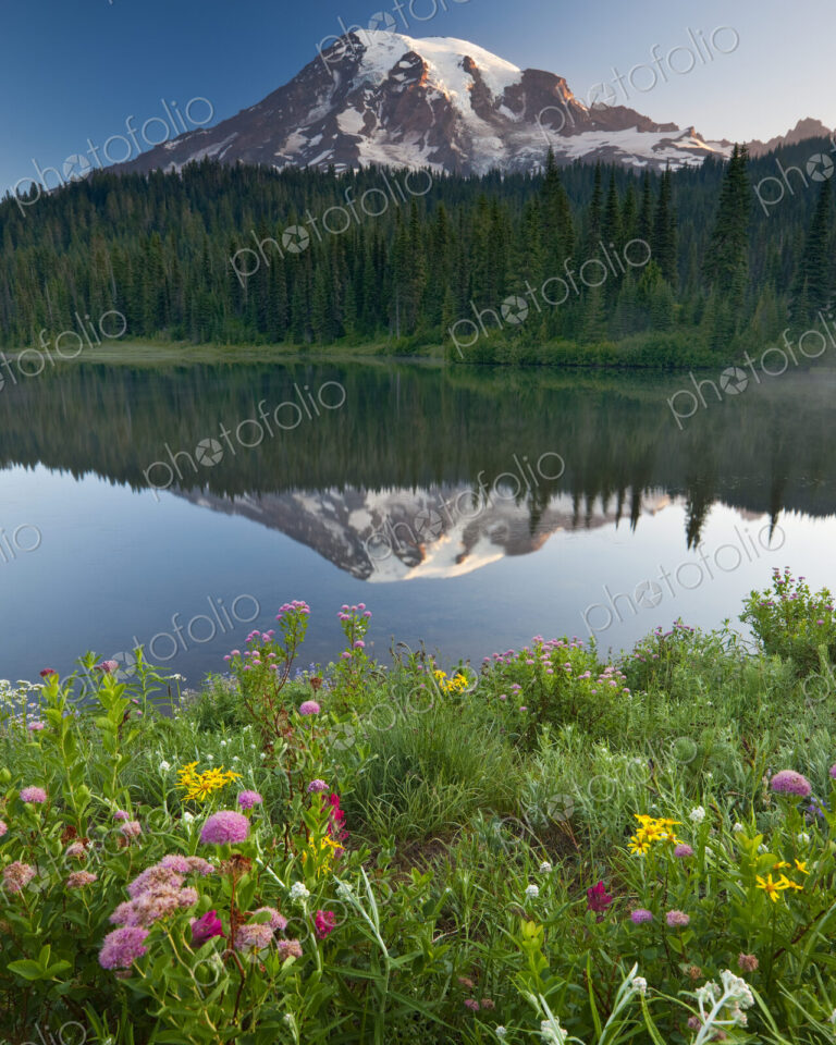Mount Rainier, a snow capped peak, surrounded by forest reflected in the lake surface…