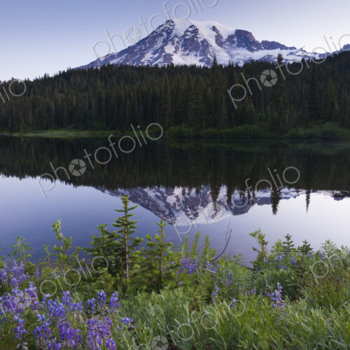 Mount Rainier, a snowcapped peak in Washington, USA Mount Rainier, a snowcapped peak in Washington, USA