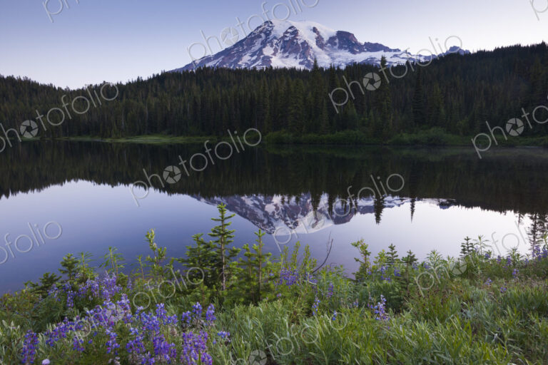 Mount Rainier, a snowcapped peak in Washington, USA